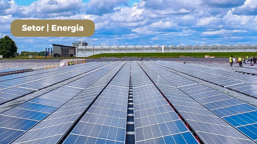 blog post image - m1press-energia-4